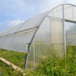 Greenhouse Greenhouse